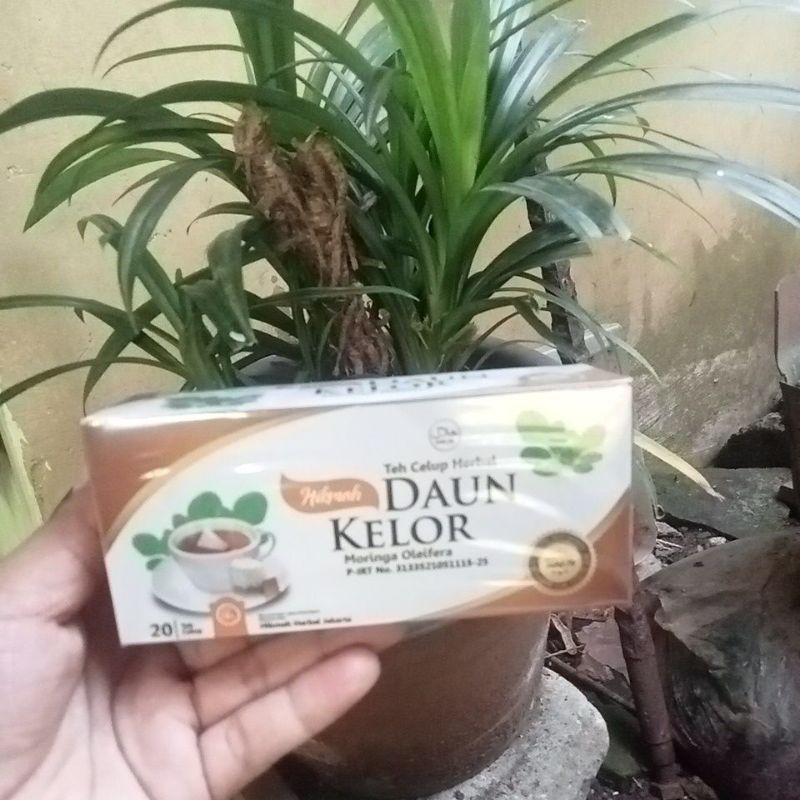 

Teh Celup Daun Kelor/Teh herbal daun kelor isi 20 pcs