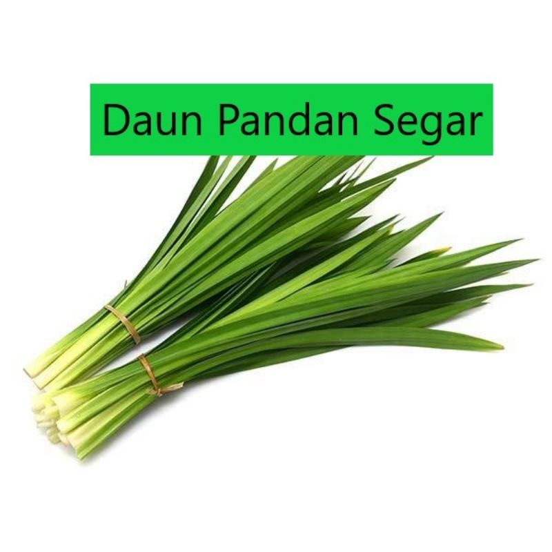 

DAUN PANDAN ORGANIK SEGAR (HARGA PER HELAI)