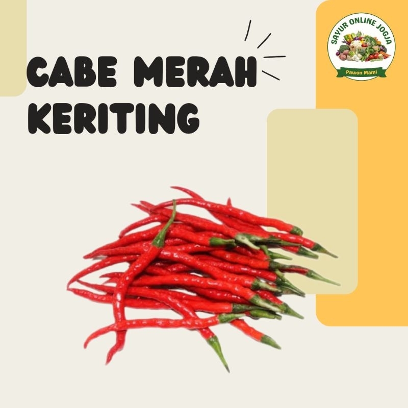 

Cabe merah keriting 100Gr - PAWON MAMI SAYUR ONLINE JOGJA