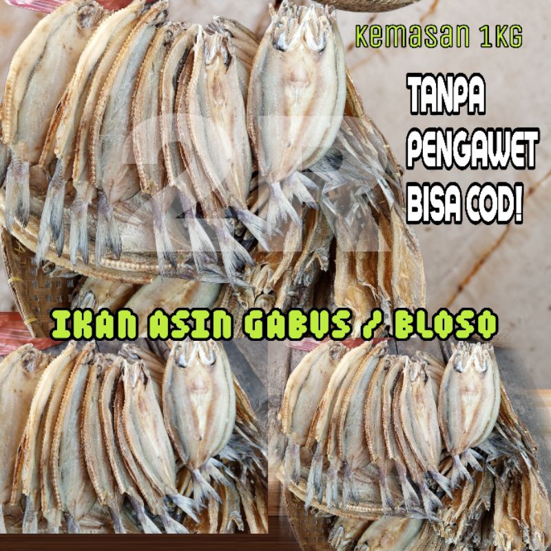 

Asin Ikan Gabus atau blosok