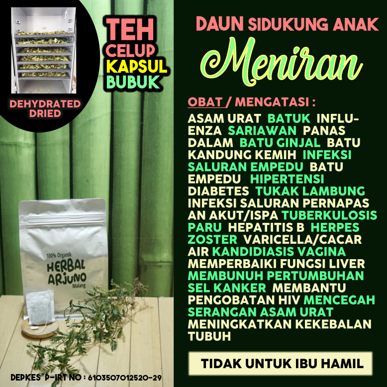 

Dehydrated Dried Teh Celup Bubuk & Kapsul Daun Meniran Asam Urat Hepatitis B Batu Ginjal Kandung Kemih Empedu Tuberkulosis Paru Hipertensi Kanker Diabetes Herpes DLL Herbal ALami