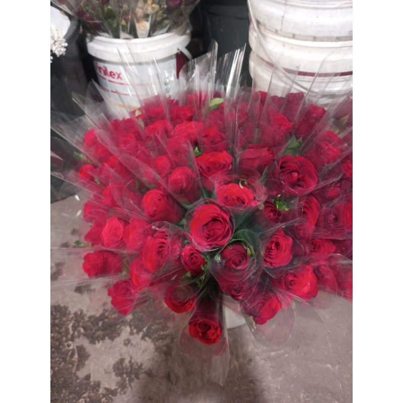 bunga mawar merah asli