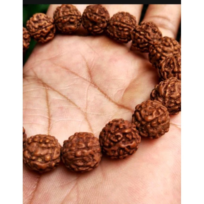 Gelang kesehatan biji genitri 10mm Gelang genitri rudraksa gelang biji genitri asli