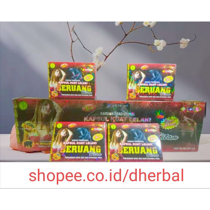 KAPSUL BERUANG HITAM ASLI