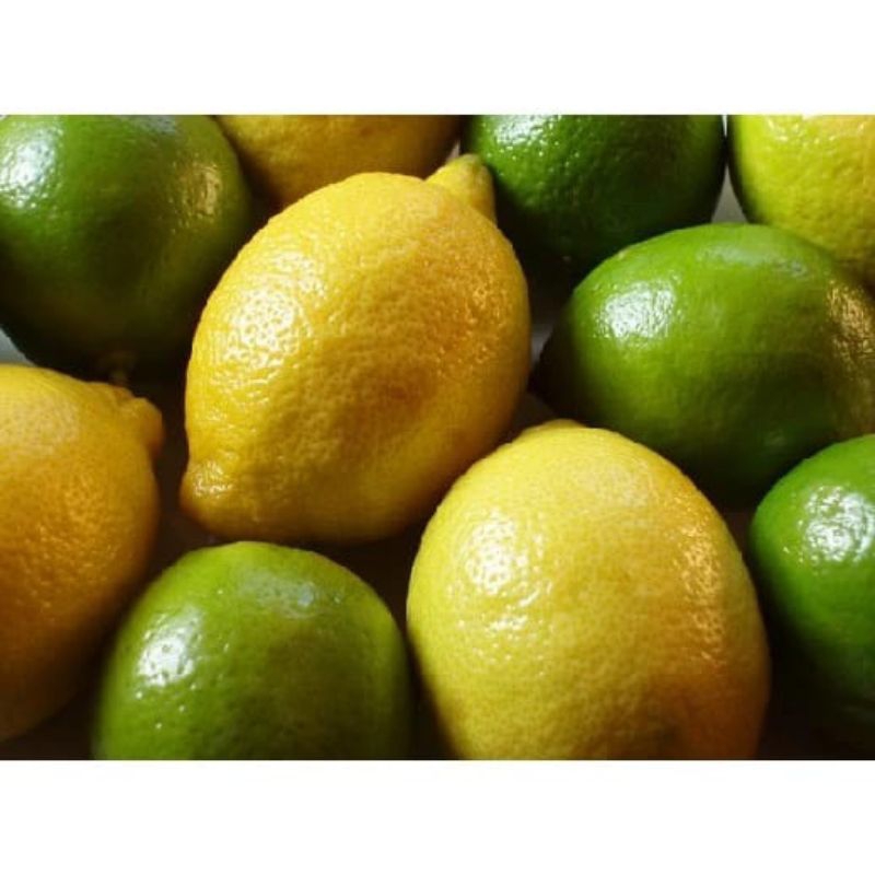 

Jeruk Lemon Lokal 250 gram