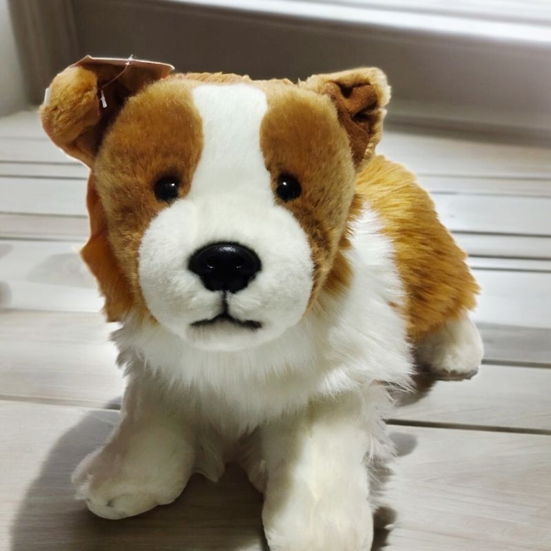 Boneka Anjing Border Collie Coklat