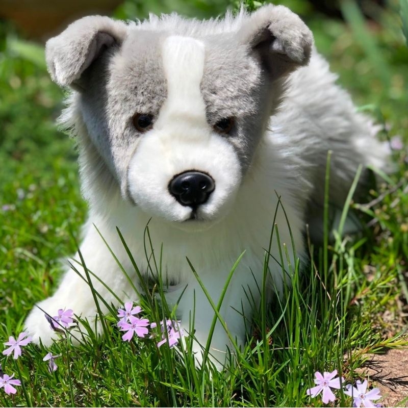 Boneka Anjing Border Collie