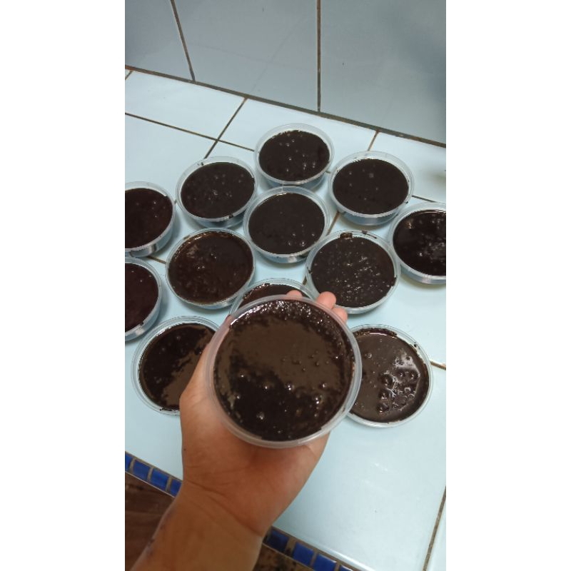 bedda lotong lulur tradisional khas bugis