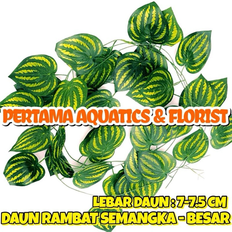 Harga Satuan Rambat Besar 100 CM atau 200 CM ( Lebar Daun 7-7.5 Cm)/ Daun Rambat Artificial/ Daun Ar