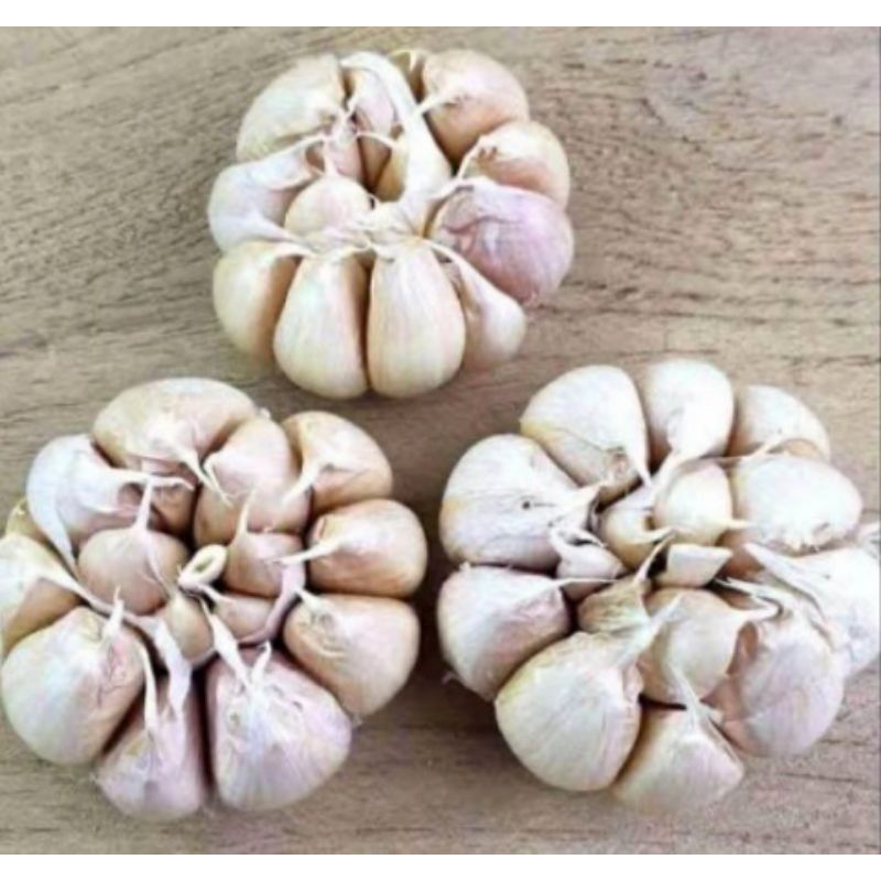 

bawang putih super 20.000 per 500grm