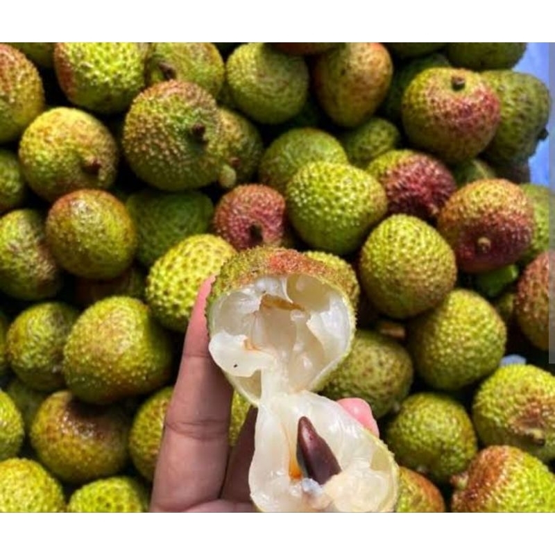 

Leci Madu Hijau (500 Gram)