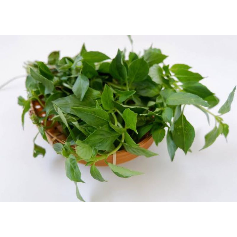 

Kemangi lalap Fresh/pcs
