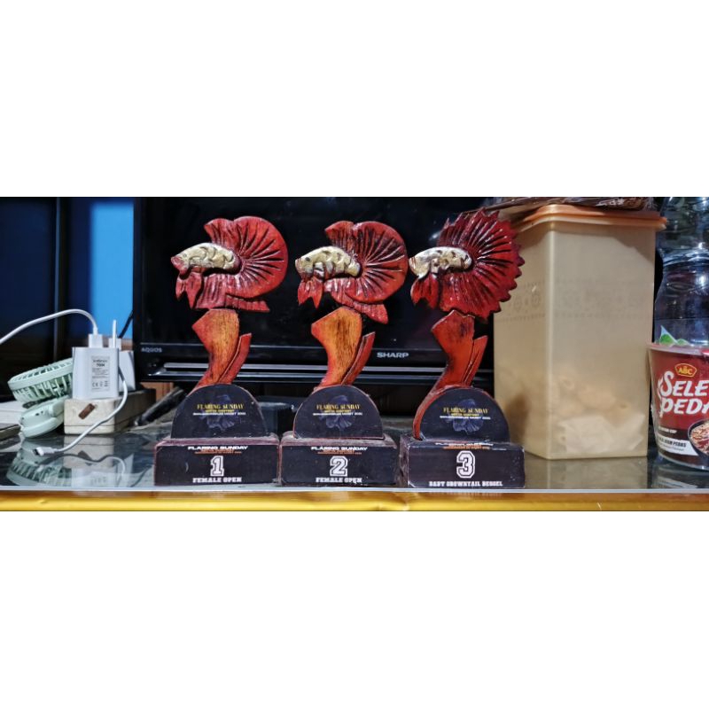 TROPI PIALA CUPANG UKIR