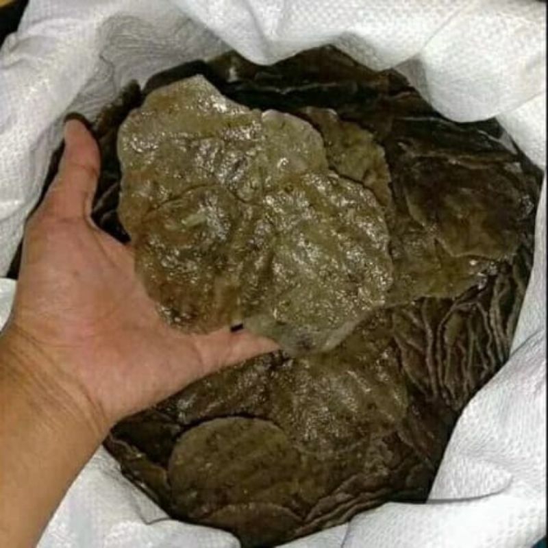 

KELEMPANG MENTAH ISI 50PCS KELEMPANG ASLI PALEMBANG KELEMPANG TULANG BANTET