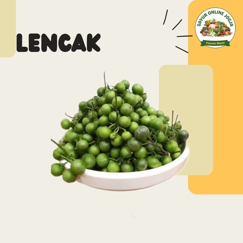 

Lencak 100Gr - PAWON MAMI SAYUR ONLINE JOGJA