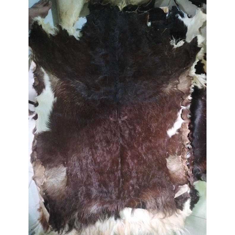 

KODE M48K media kulit kambing 75x45