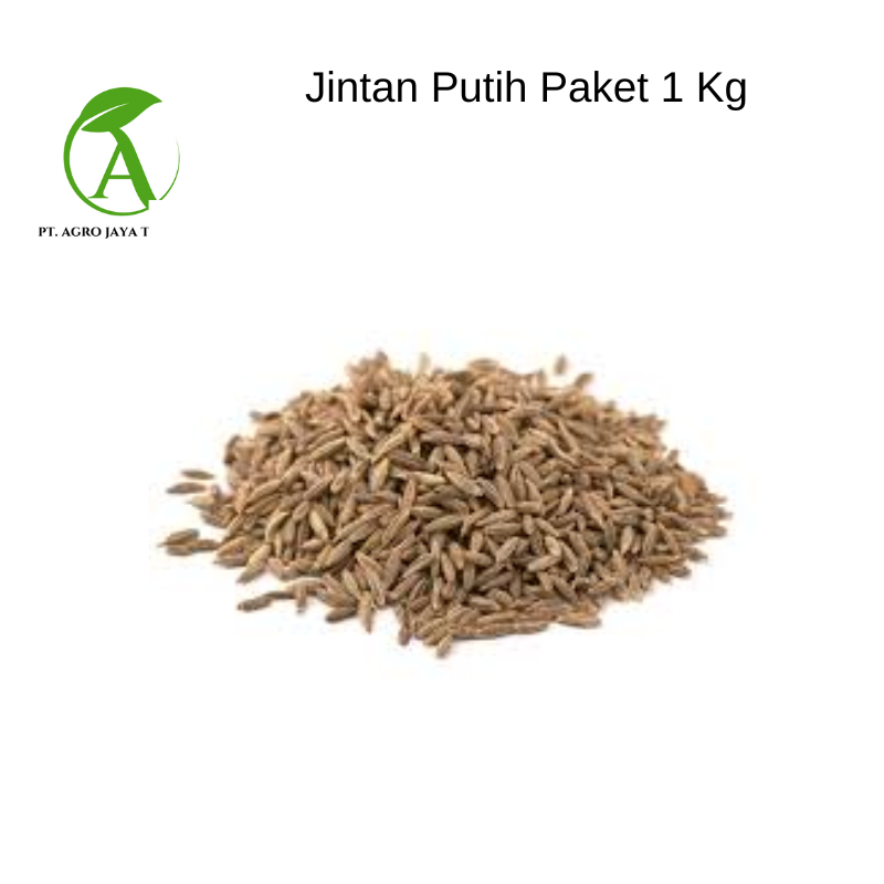 

JINTAN PUTIH /JINTEN ASLI 1KG