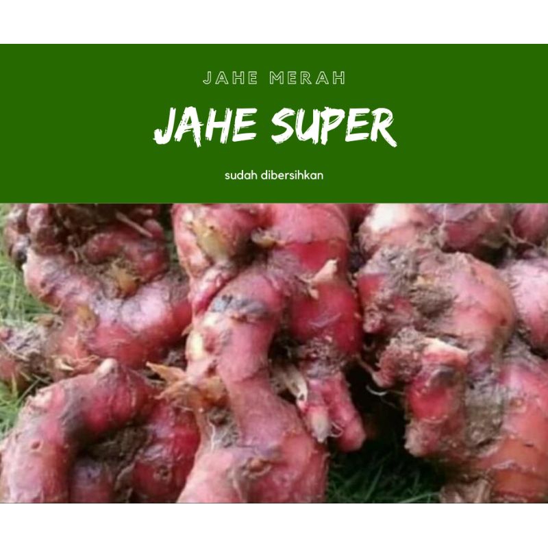 

JAHE MERAH ASLI, SUDAH DI BERSIHKAN PER 500grm
