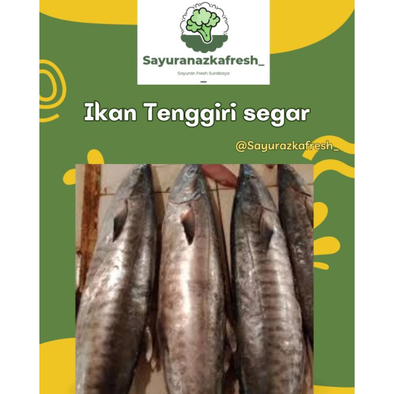 

ikan Tenggiri Segar