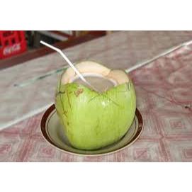 

[KHUSUS INSTAN] PURE COCONUT WATER 1 LITER | 100% Pure Coconut Water | Air Kelapa Asli Dalam Botol 1 Liter