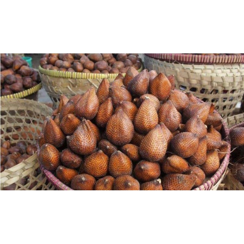 

salak pondoh jawa(Harap Tanya stok)