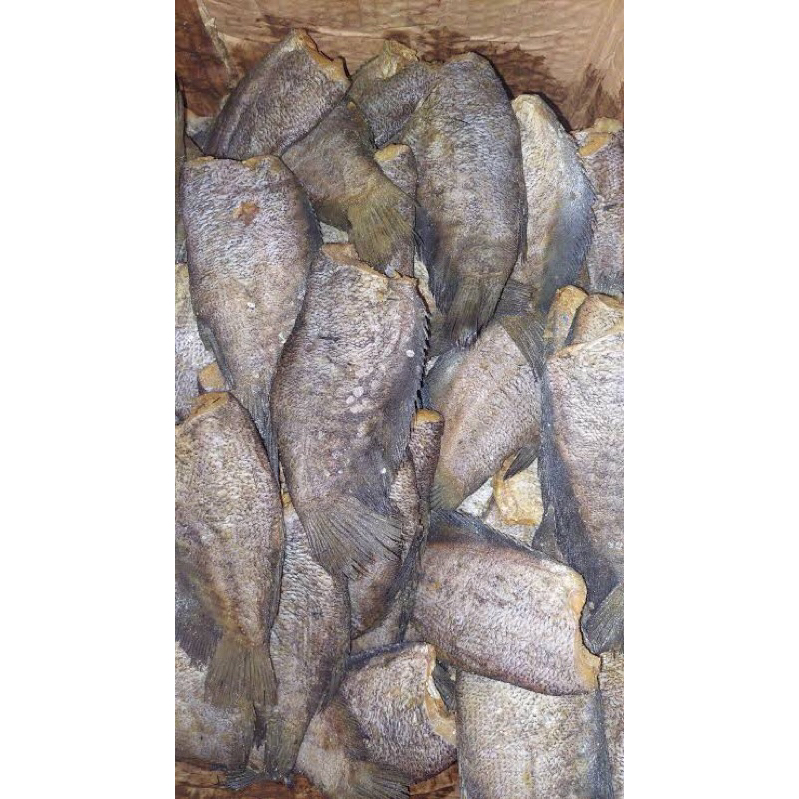 

ikanasinsepatbesar,sepatbangkok,sepatbesar,ikanasinsepatbangkoksegar,sepatbangkokmurah