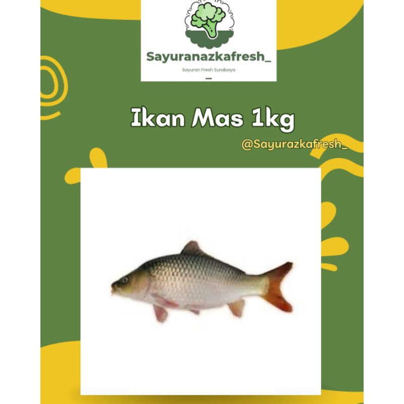 

ikan Mas [±1kg]