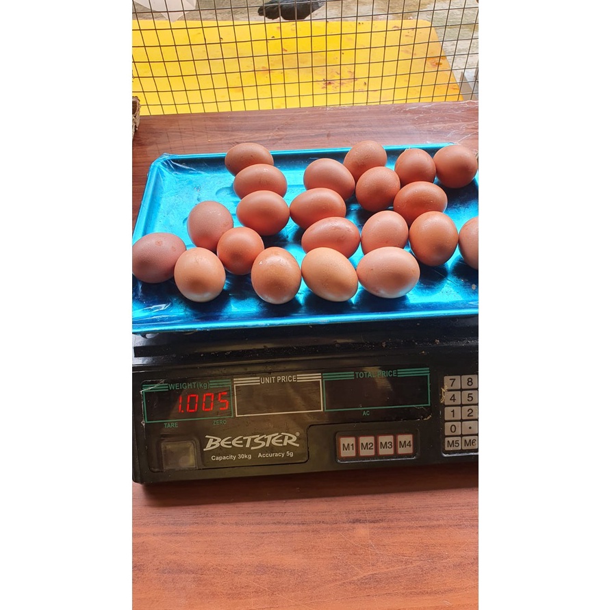 

Terlaris telor omega superpremium super artinya yg premium paling bagus ya kaomega