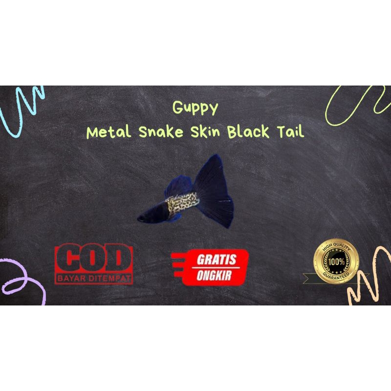 

Packing kardus / styrofoam metal snake skin black tail