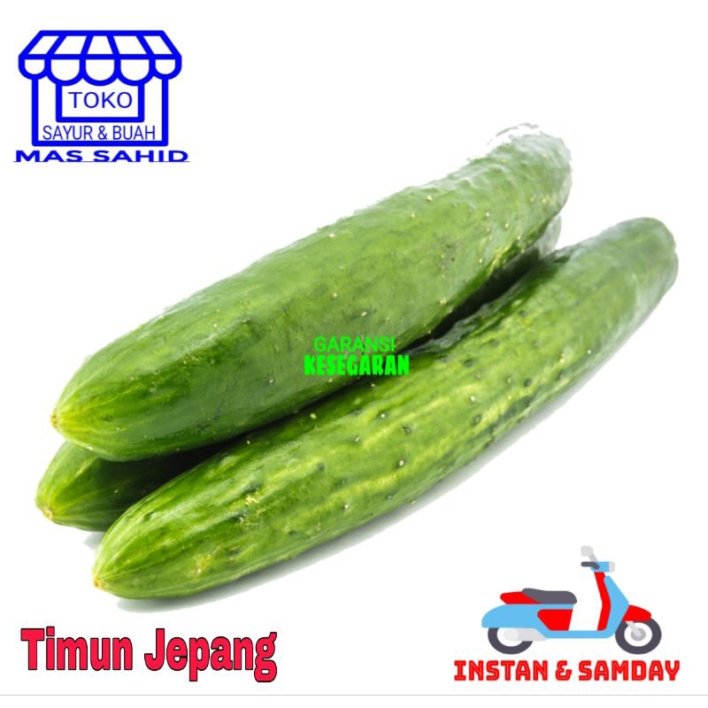 

Timun Jepang Timun Kiyuri ijo Panjang KIRIM INSTAN & SAMDAY