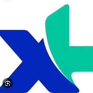 KARTU PAKETAN XL | KARTU PAKET INTERNET MURAH 44GB FLEX M