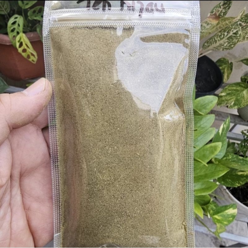 

Bubuk Teh Hijau 100gr / 250gr - Bubuk Daun Teh Hijau - Green Tea Powder