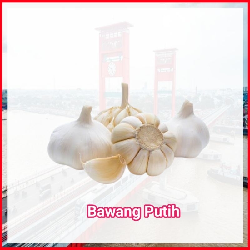 

Bawang Putih - Sayur Ampera Palembang