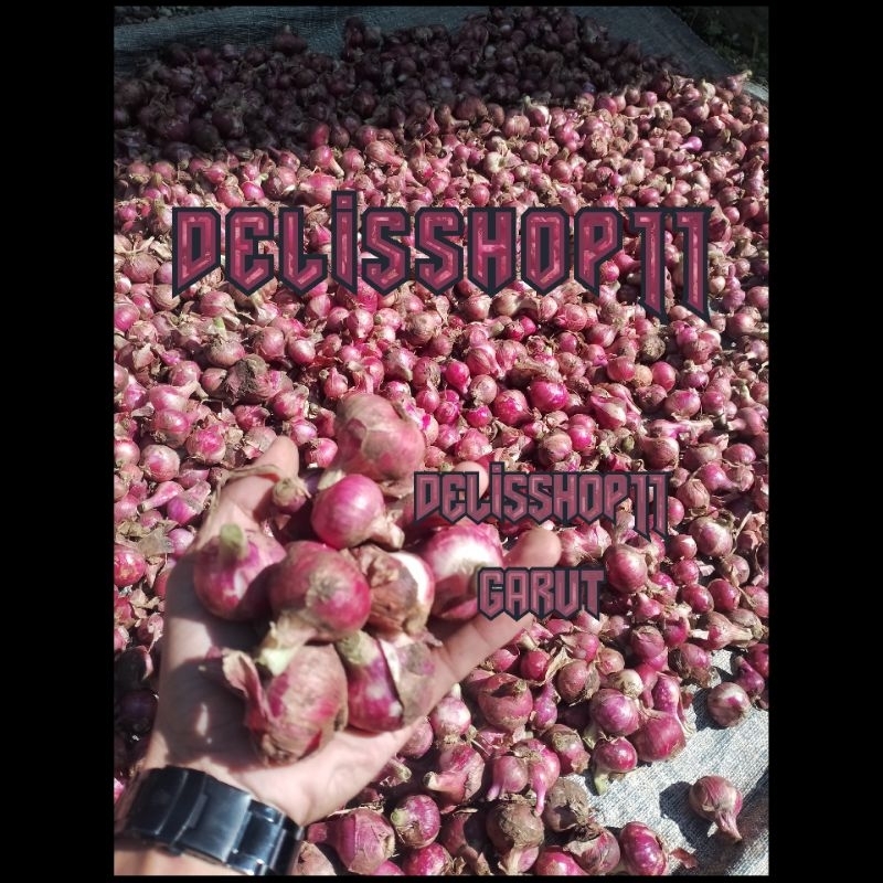 

bawang merah tuktuk (brebes) /250g