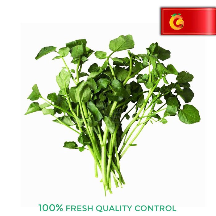 

SAYUR SELADA AIR PERIKAT