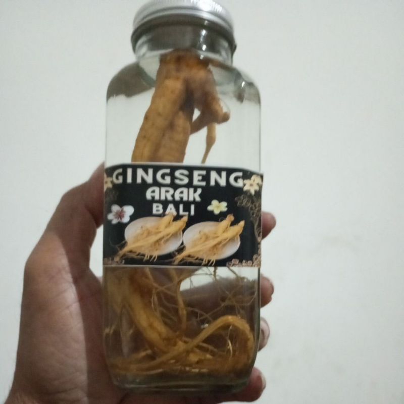 

JAMU GINSENG MERAH + BOTOL KACA 500 ML + 4RB4L1 40%