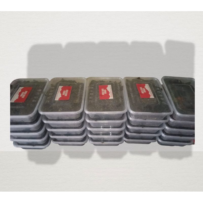 

NORI RUMPUT LAUT PANGGANG RASA JAGUNG PRODUK UMKM