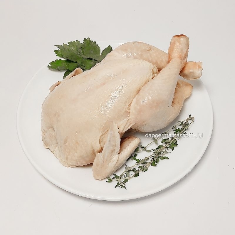 

AYAM BROILER / AYAM NEGERI 1 kg FRESH / FROZEN