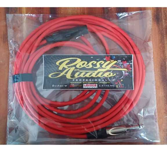 kabel/jek mic TS to XLR