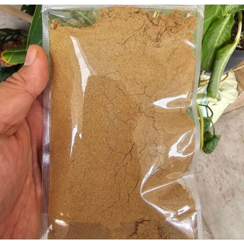 

Bubuk Jintan Masak Cumin 100gr - Bumbu Bubuk Jintan Putih