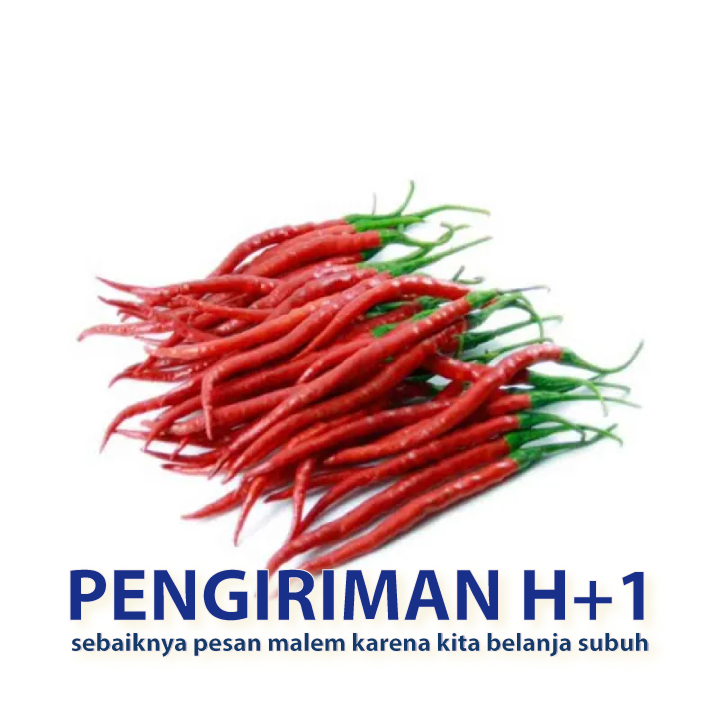 

Cabe keriting merah sayuran segar