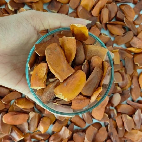 

MAHONI KULIT PREMIUM KEMASAN 100 GRAM | BUAH MAHONI