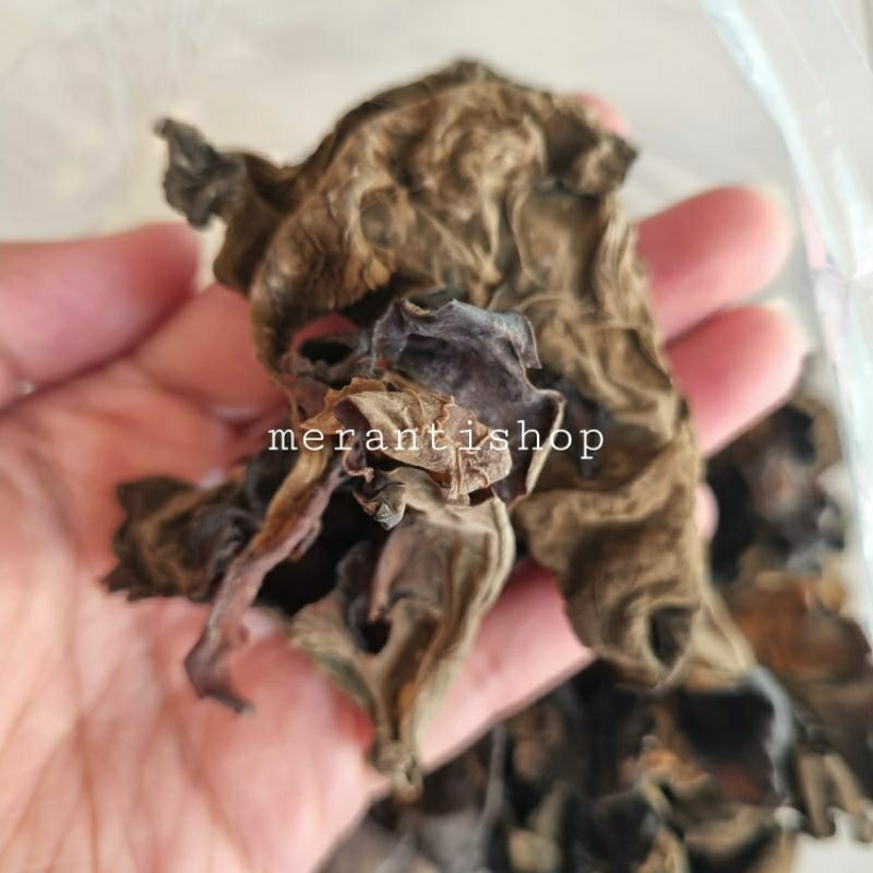 

Jamur Kuping Hitam 100gram / Obokni / Bokni Black Fungus