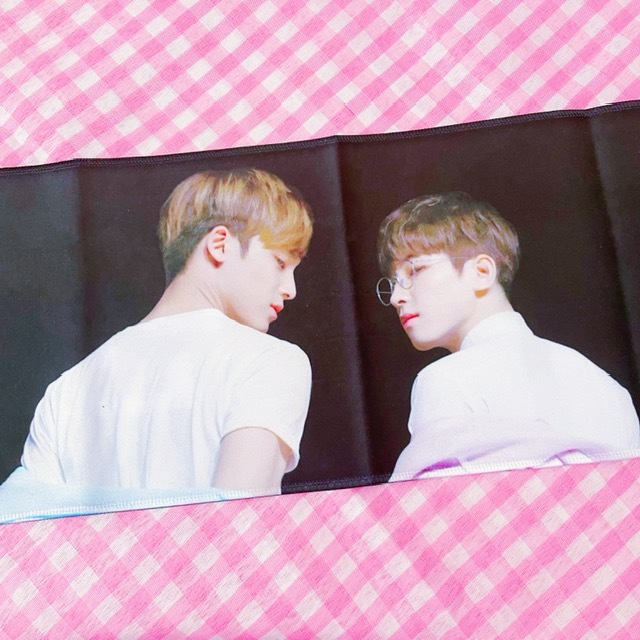 seventeen wonwoo mingyu minwon mildxwild mxw saintww saint ww the boy i love tbil unofficial fanmade