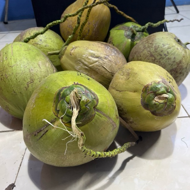 

buah kelapa kopyor segar manis ukuran 60 up jumbo