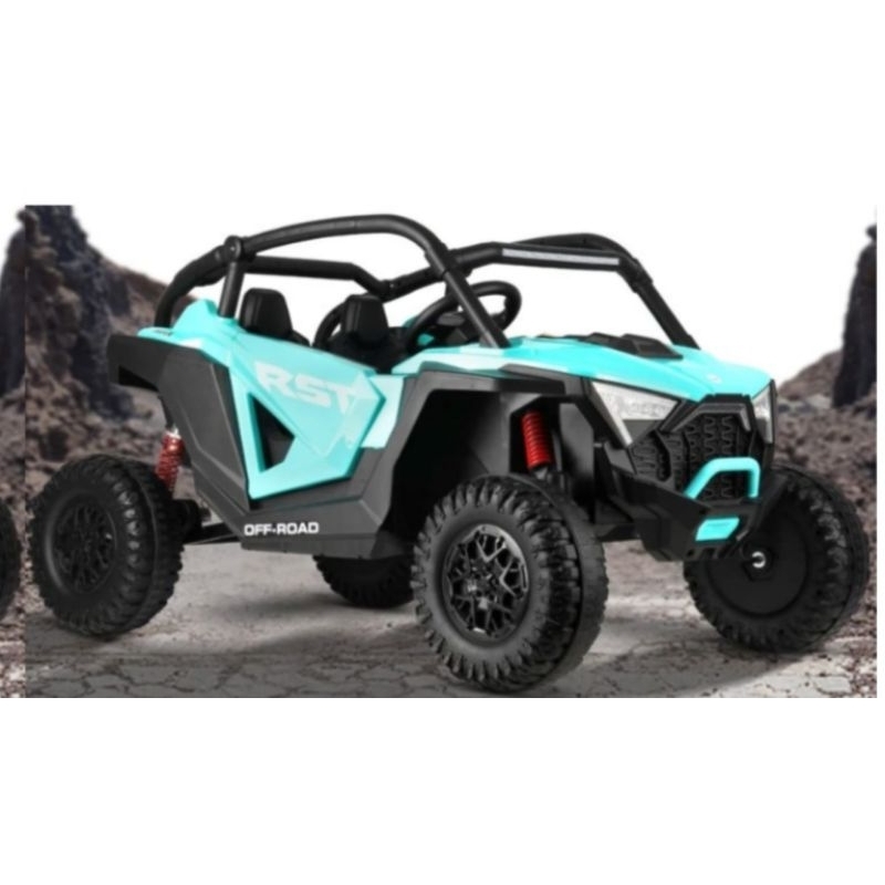 mobil aki utv monster