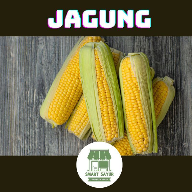 

^SMARTSAYUR^ JAGUNG LOKAL SAYURAN PERKILO