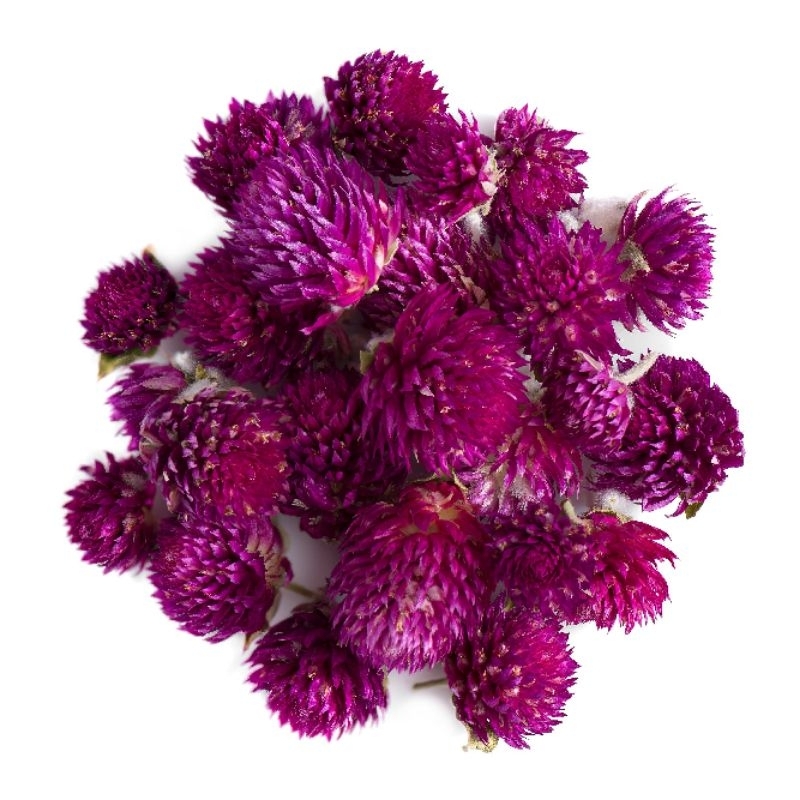 

Premium Bunga Globe Amaranth Kering isi 50 Gram
