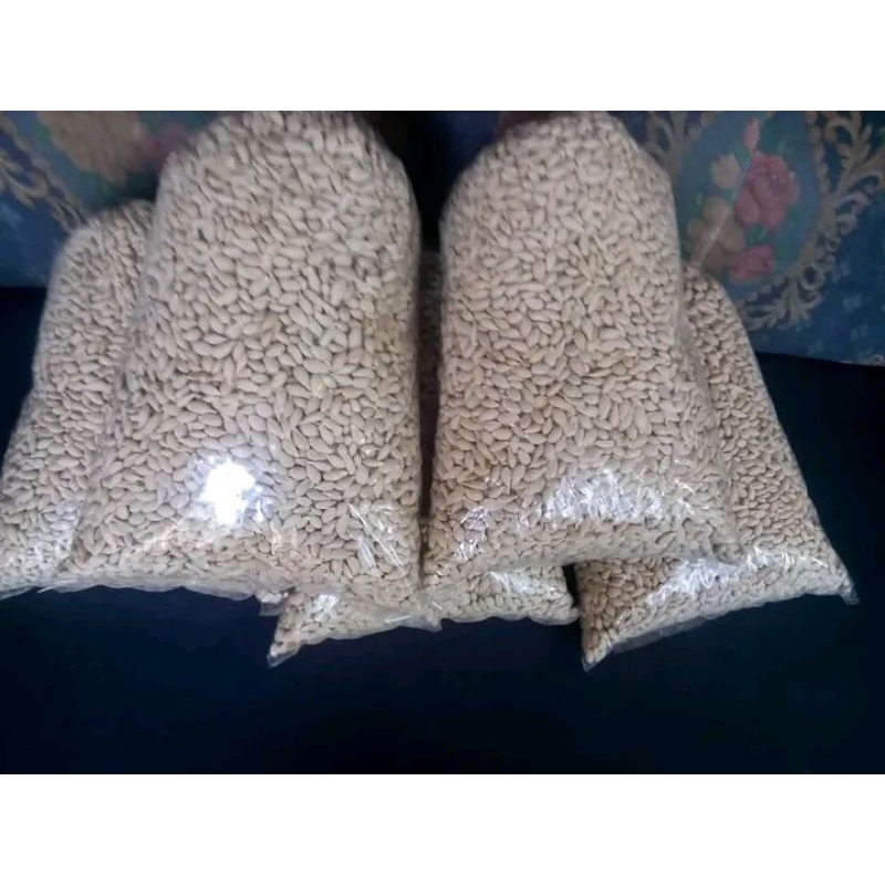 

biji jeruk jc 1kg