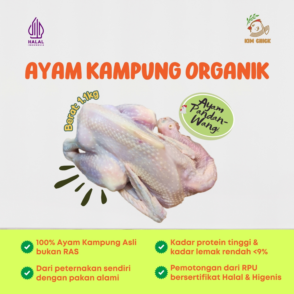 

Pandan Wangi - Daging Ayam Kampung Organik Segar 1.1 KG